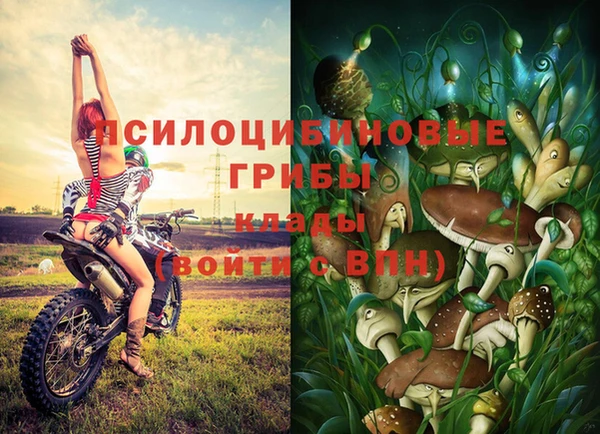 марки nbome Балабаново